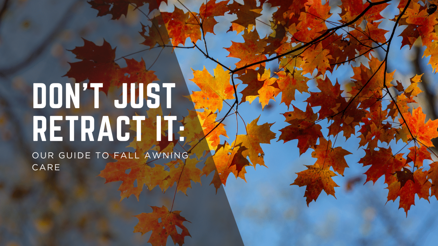 Blog cover: Don't just retract it, a guide to fall awning care
